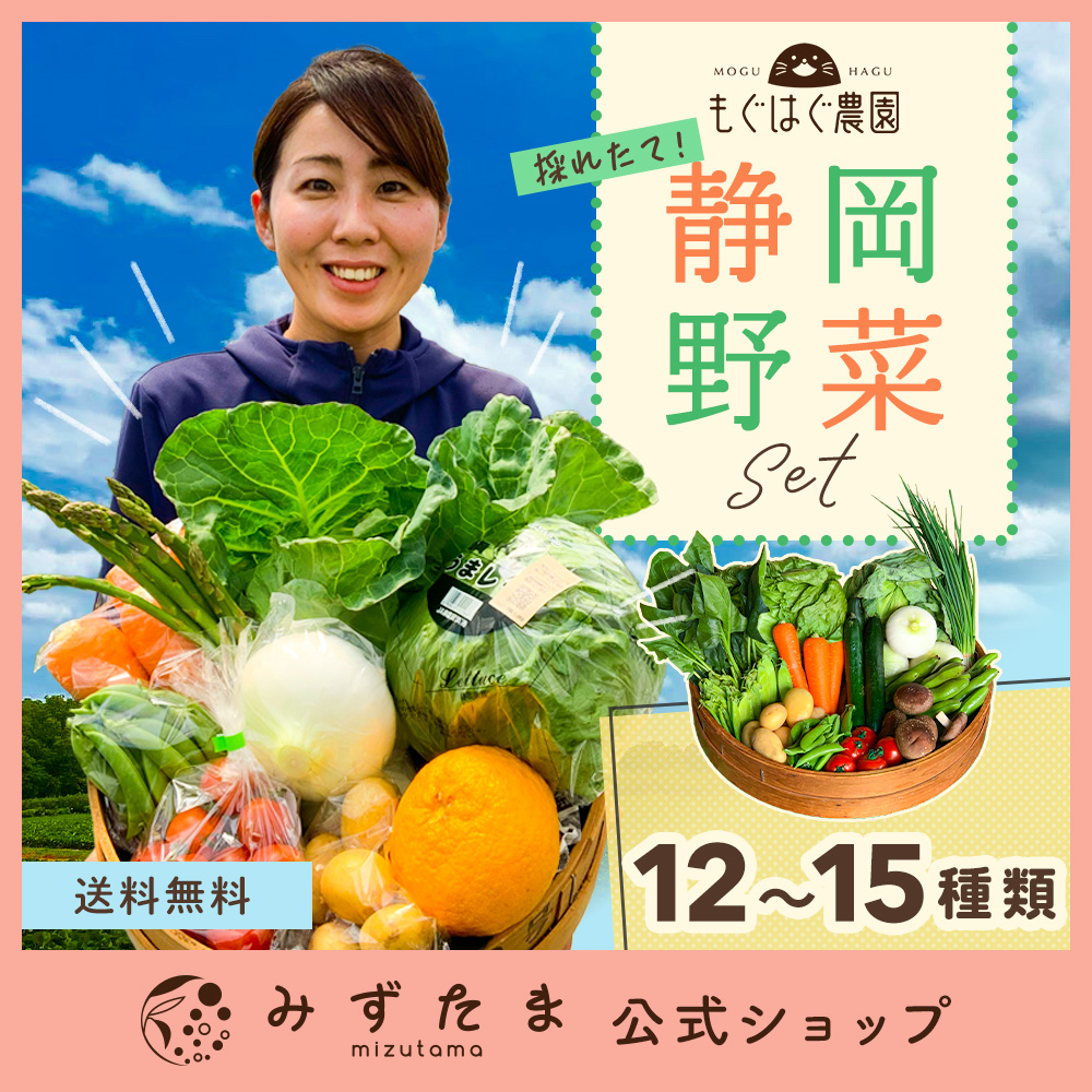 野菜セットC